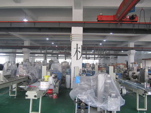 中小企業(yè)福音 溫州產(chǎn)多功能食品包裝機(jī)與軟件開發(fā)服務(wù)，一站式高性價比解決方案