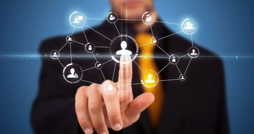 藍奧信息 突破招商困局，賦能招商技巧的信息技術咨詢服務